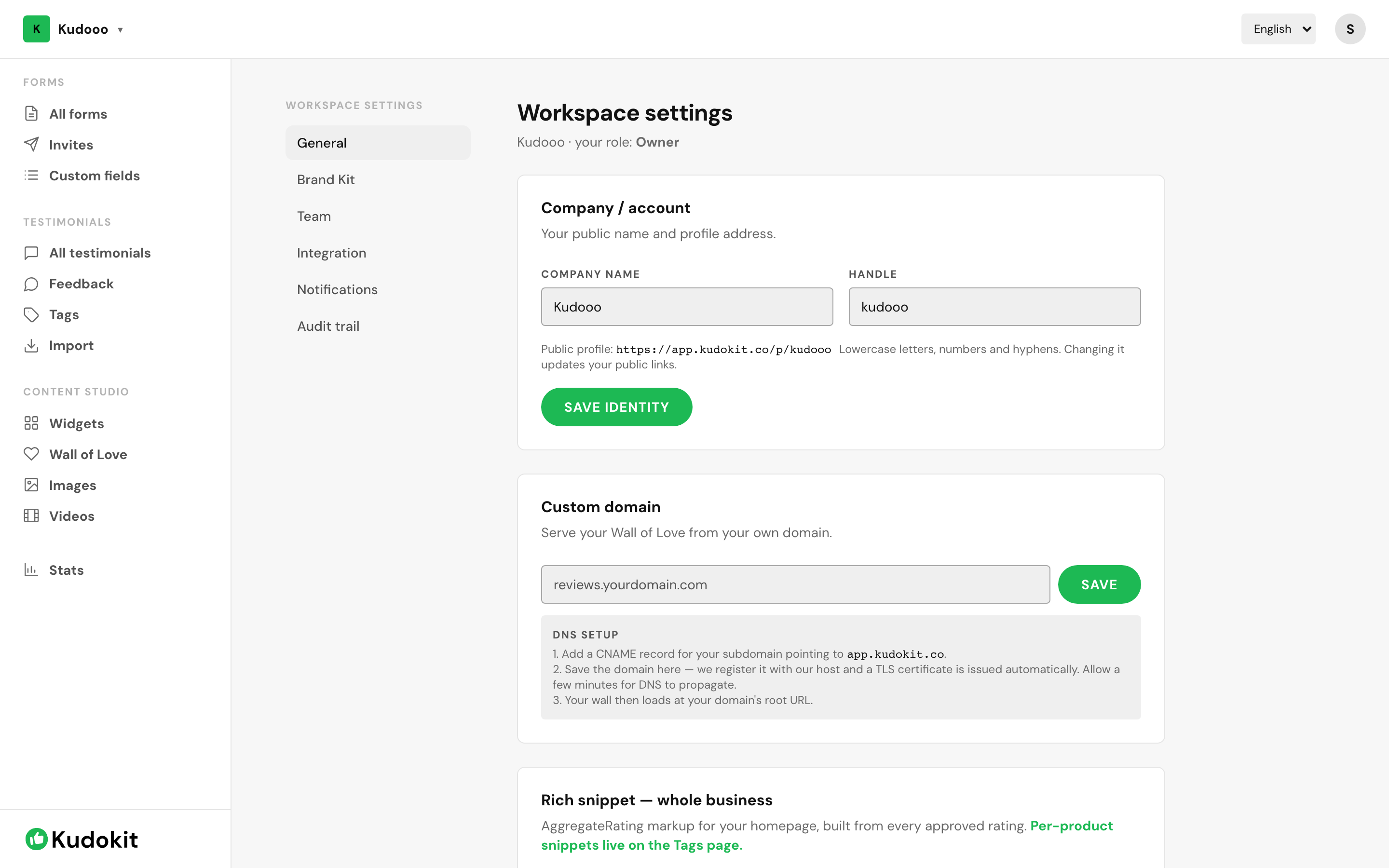 Custom domain settings with the DNS steps.